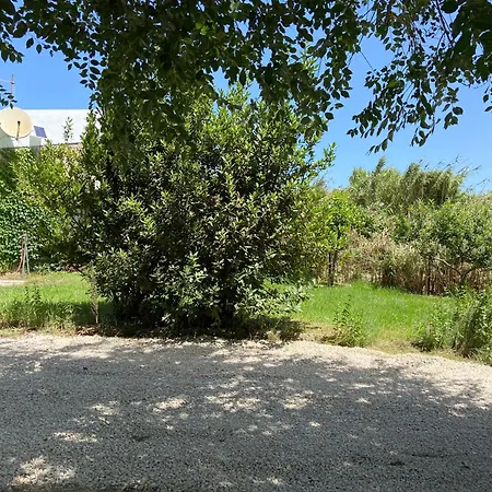 Old Cowshed From The '30 Alpehytte Santa Maria