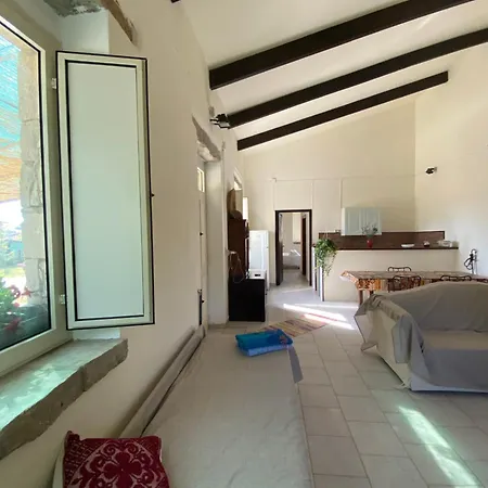 Old Cowshed From The '30 Santa Maria