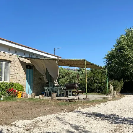 Old Cowshed From The '30